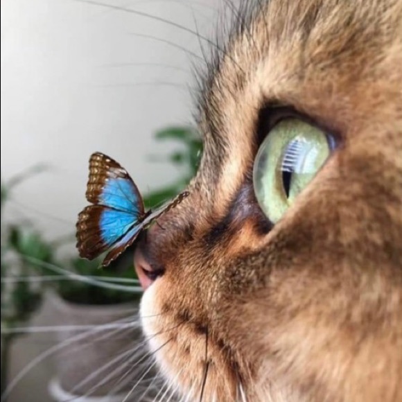 Meet your Posher, Hania - Picture 1 of 1